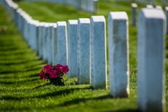 Arlington