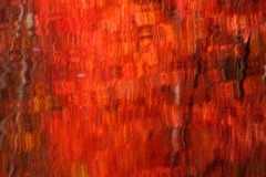 Abstract