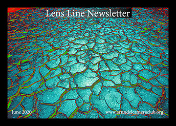 Published 2020 June “Lens Line” Newsletter
