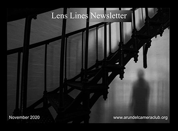 Published 2020 November “Lens Lines” Newsletter