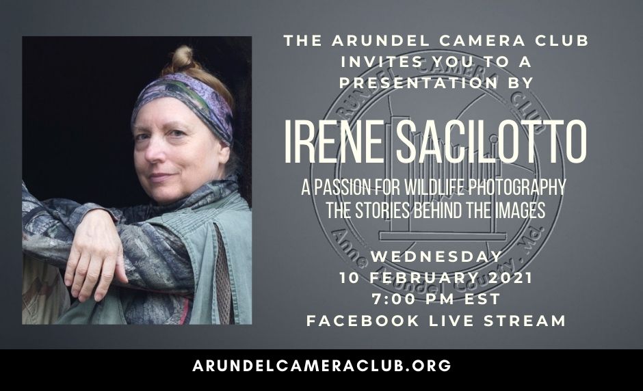 2021 Feb. 10: Irene Sacilotto -“A Passion for Wildlife Photography The Stories Behind the Images”
