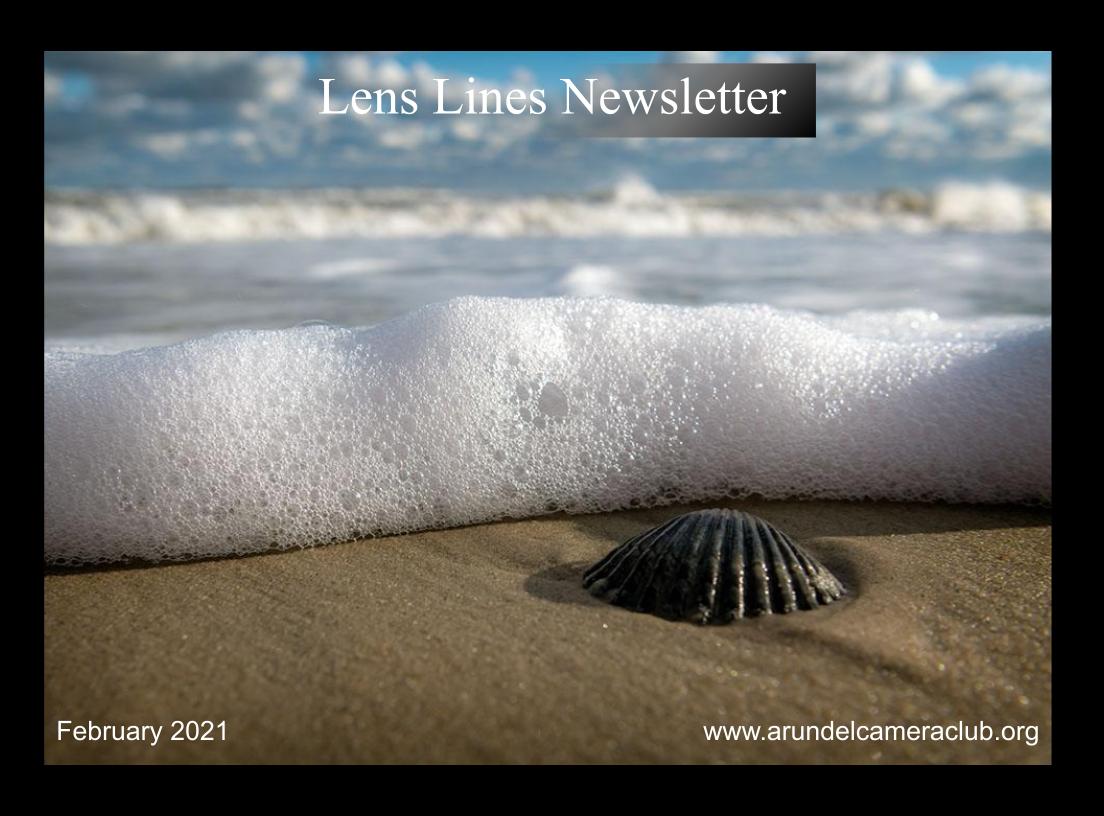 Published 2021 February “Lens Lines” Newsletter