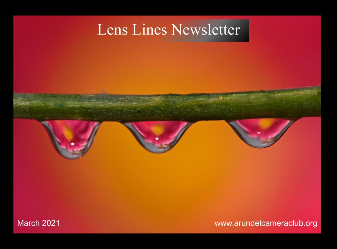 Published 2021 March “Lens Lines” Newsletter