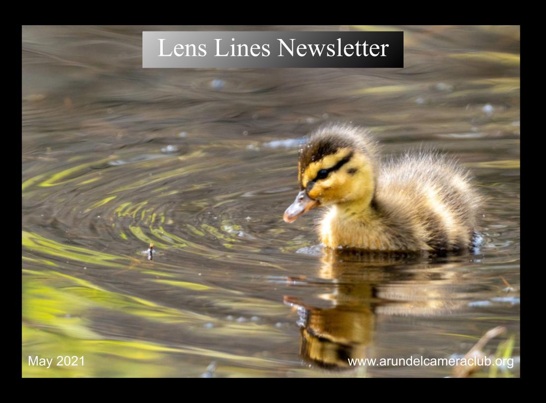 Published 2021 May “Lens Lines” Newsletter