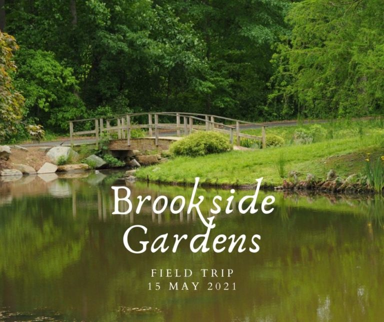 2021 May 15 Field Trip Brookside Gardens