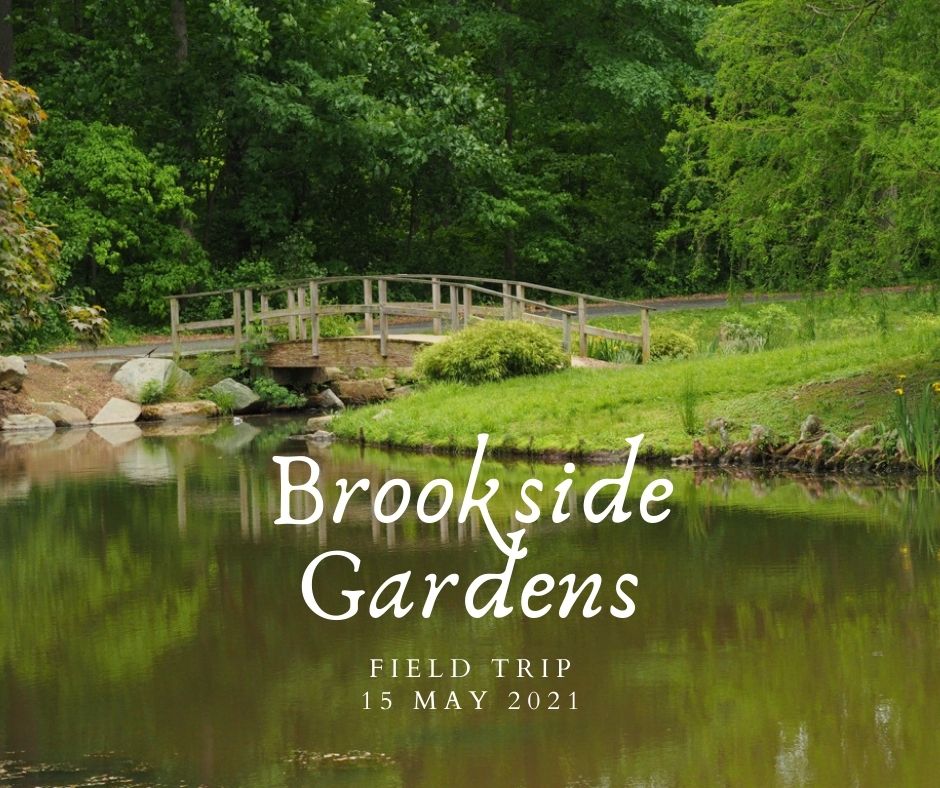 2021 May 15: Field Trip – Brookside Gardens