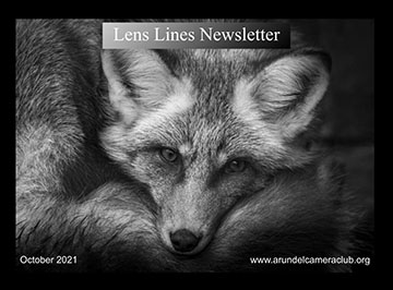 Published 2021 October “Lens Lines” Newsletter