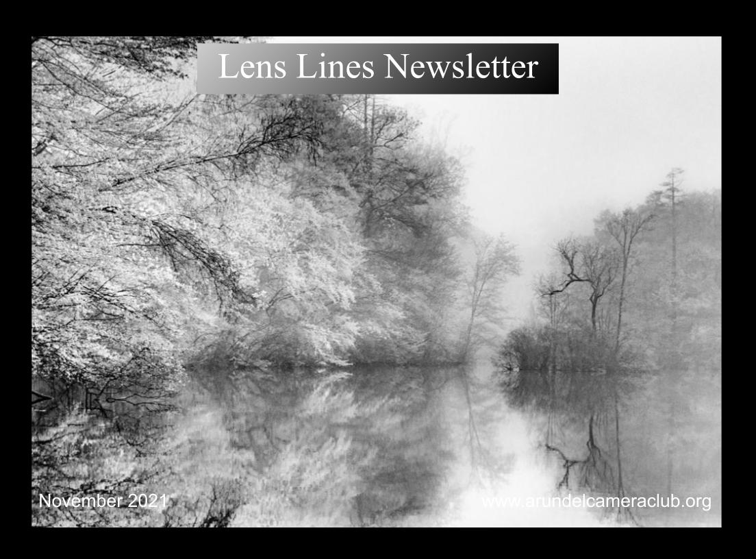 Published 2021 November “Lens Lines” Newsletter