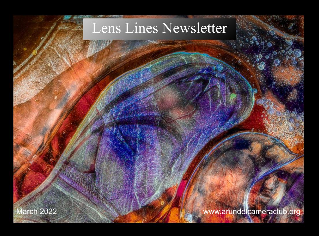 Published 2022 March “Lens Lines” Newsletter