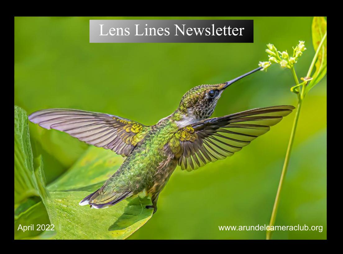 Published 2022 April “Lens Lines” Newsletter