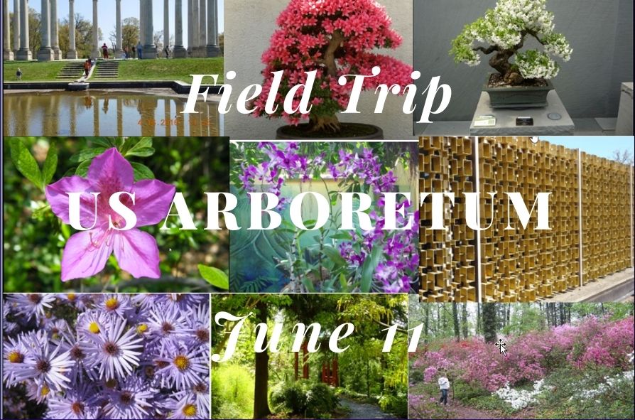 Field-Trip-US-Arboretum-.jpg