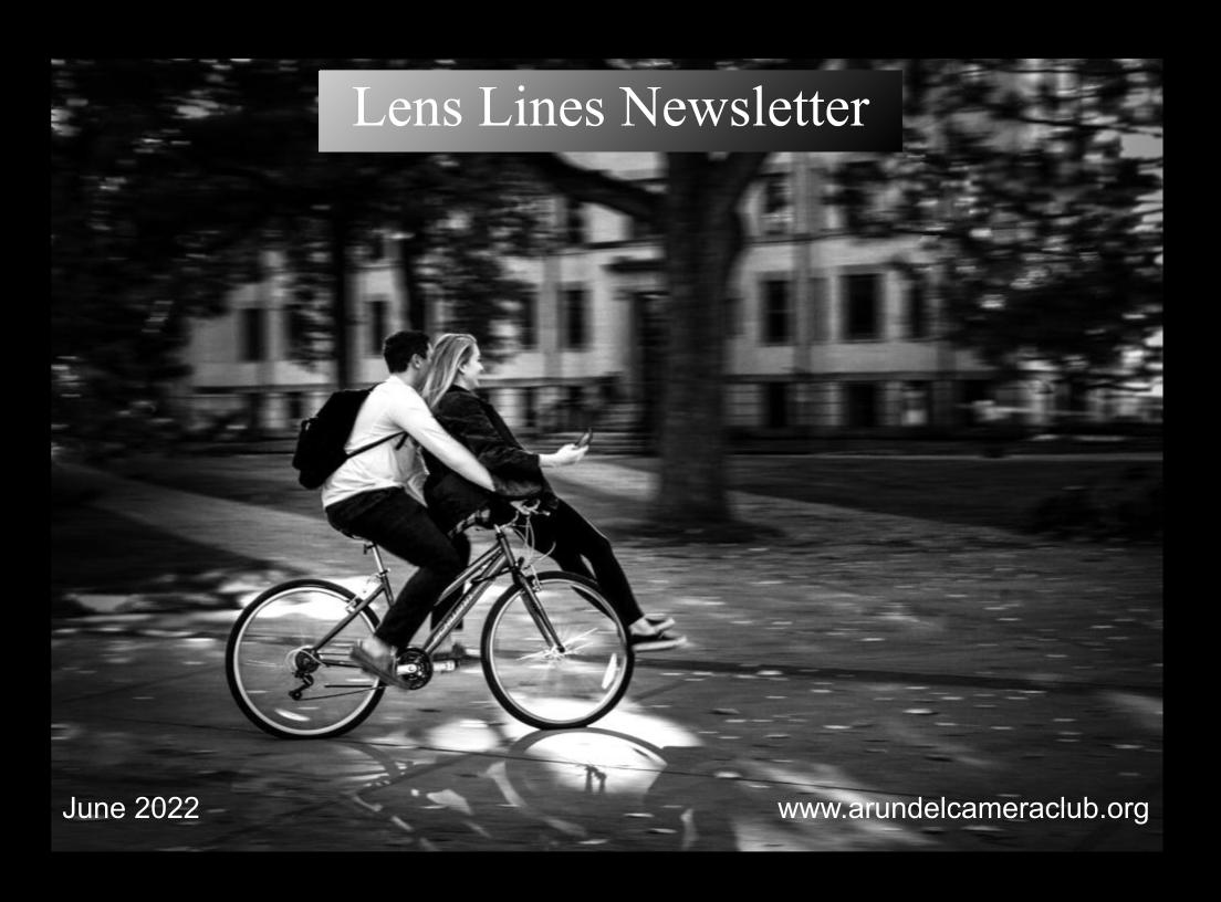 Published 2022 June “Lens Lines” Newsletter