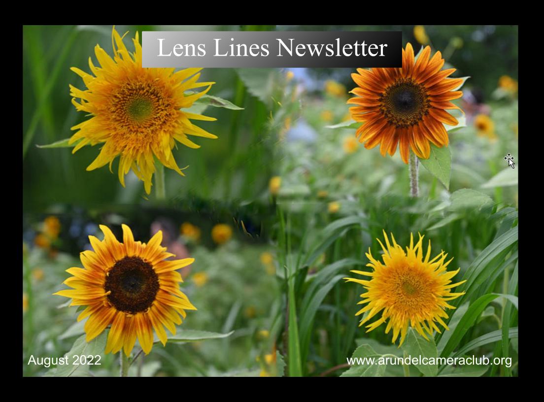 Published 2022 August “Lens Lines” Newsletter
