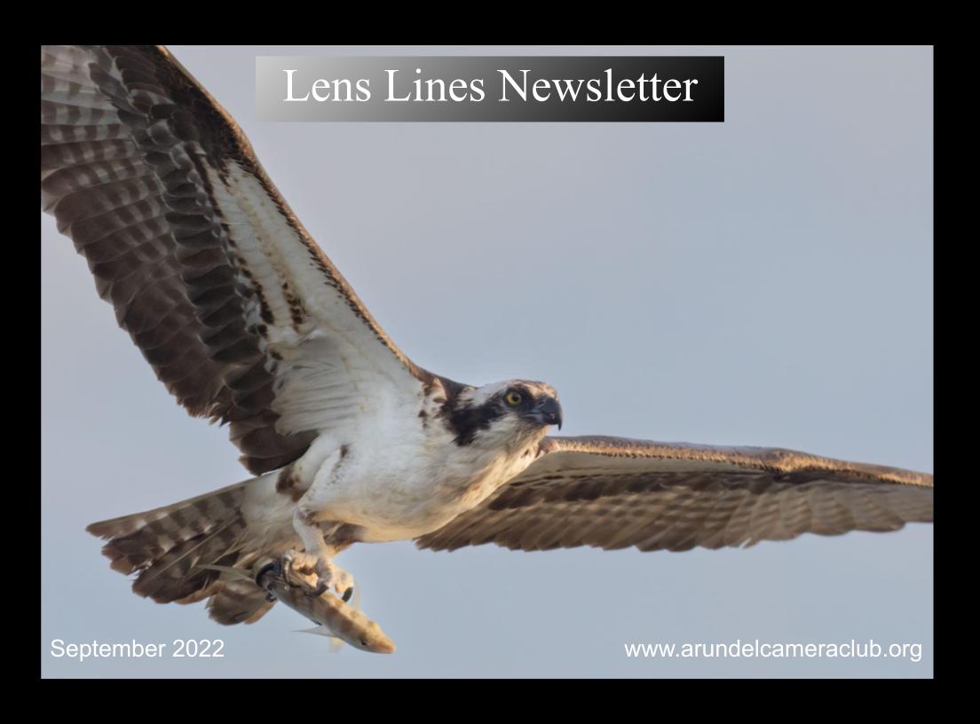 Published 2022 September “Lens Lines” Newsletter
