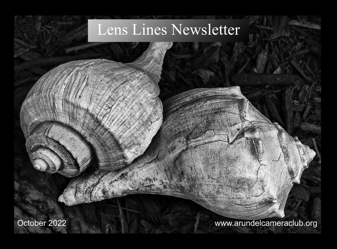 Published 2022 October “Lens Lines” Newsletter