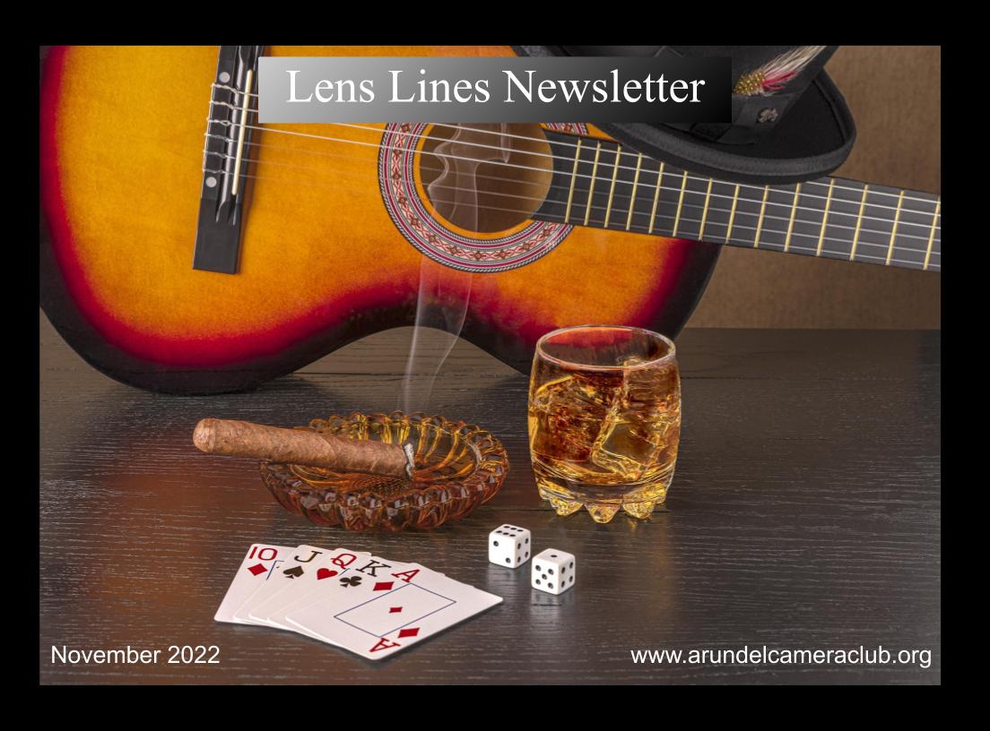 Published 2022 November “Lens Lines” Newsletter