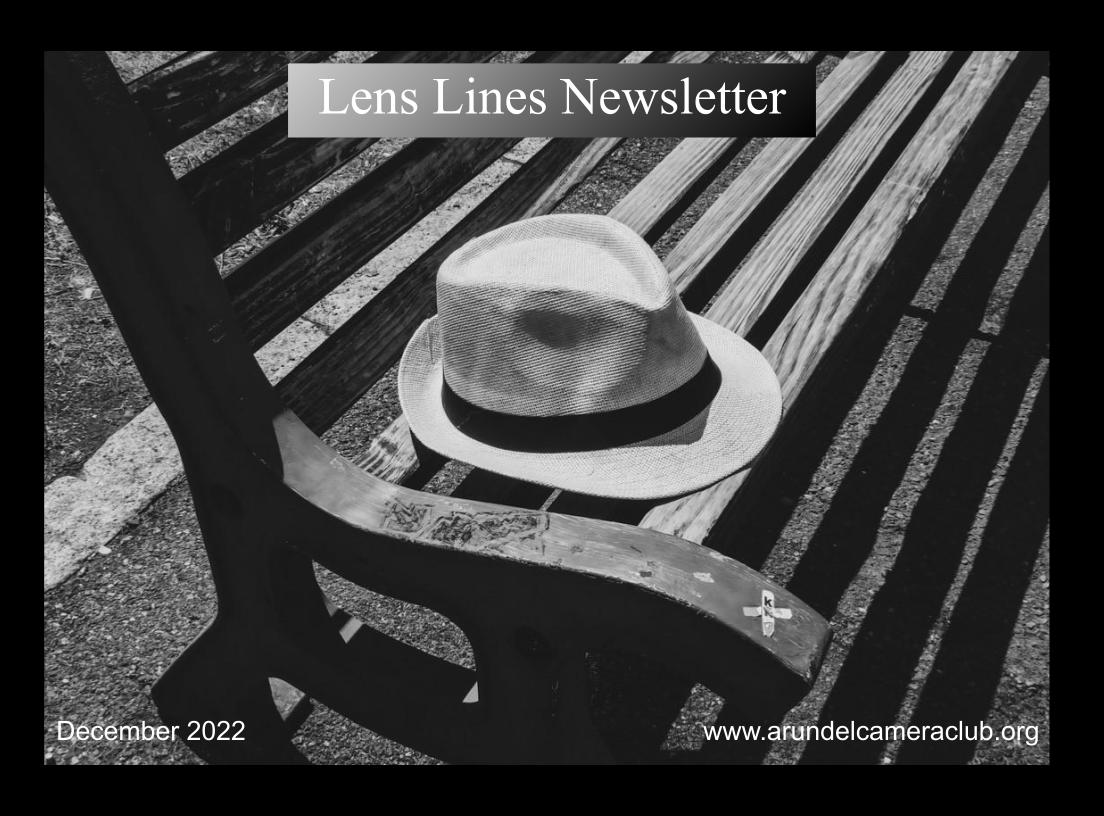 Published 2022 December “Lens Lines” Newsletter